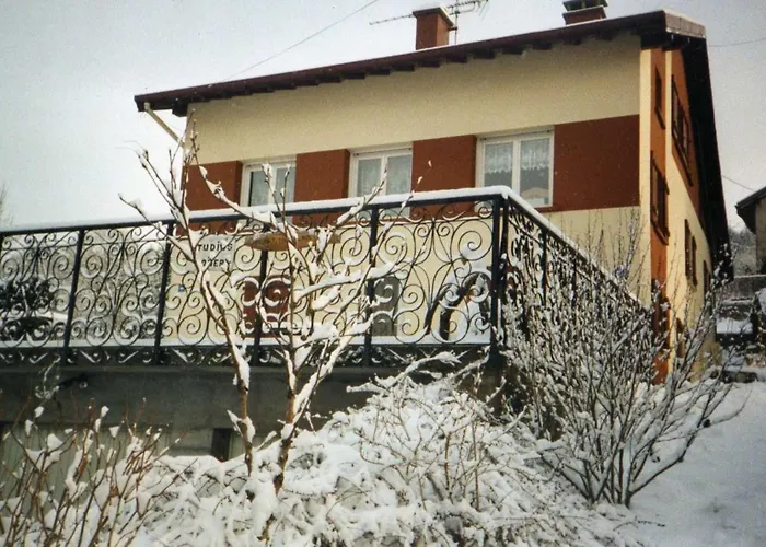 Confortable Avec Vue Sur Le - 30 M² - Apartmán Gérardmer